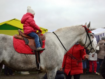 Фестиваль «СтрЕлец - 2017»