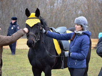 Фестиваль «СтрЕлец - 2017»