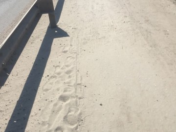 Старые проблемы древнего града Ельца