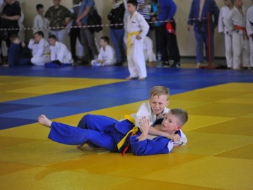Межрегиональный турнир по дзюдо