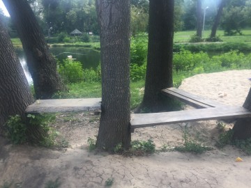 Петровский парк в Ельце преобразился?