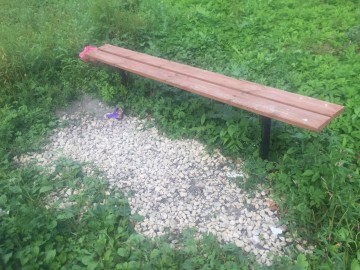 Петровский парк в Ельце преобразился?