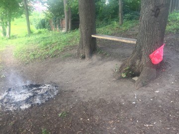 Петровский парк в Ельце преобразился?