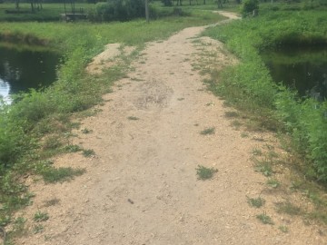 Петровский парк в Ельце преобразился?