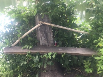 Петровский парк в Ельце преобразился?